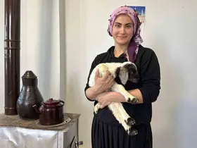 Annesiz kalan kuzu ailenin ‘Umut’u oldu

