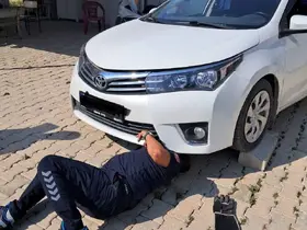 Antakya ve İskenderun’da araçlarda mahsur kalan kediler kurtarıldı
