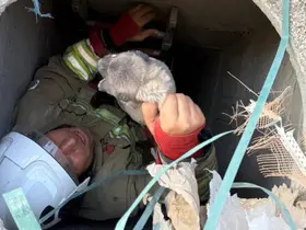 Antakya’da 5 metrelik kuyuya düşen yavru köpek kurtarıldı
