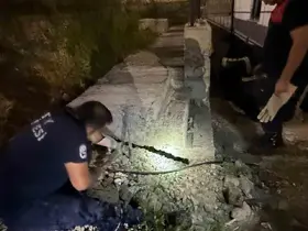 Antakya’da beton boru içinde sıkışan kedi kurtarıldı
