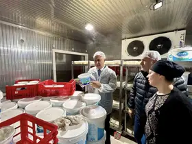 Antakya’da süt ürünleri üreten firma incelendi
