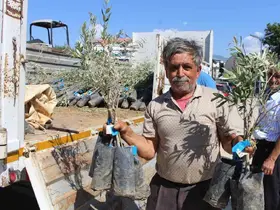 Antalya Büyükşehir Belediyesi’nden fidan desteği
