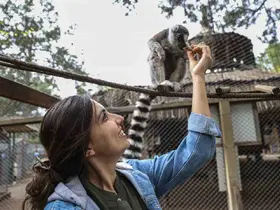 Antalya Doğal Yaşam Parkı’nda yavru lemur sevinci
