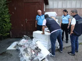 Antalya Otogarı’nda balık operasyonu: 260 kilo ele geçirildi
