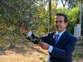 Antalya zeytinyağını markalaştıracak 30 öneri
