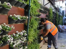 Antalya’da 4 milyon çiçek toprakla buluşuyor
