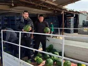 Antalya’da sezonun ilk karpuz hasadı yapıldı
