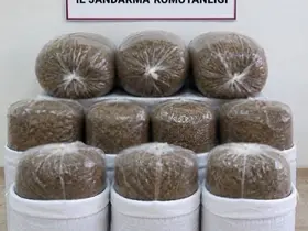 Antalya’da üç ilçede kaçak tütün operasyonu: 400 kilogram tütün ele geçirildi
