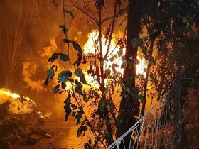 Antalya’da yerleşim yerine yakın sazlık alanda yangın paniği
