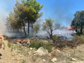 Antalya’da  zirai alanda çıkan yangın büyümeden söndürüldü
