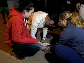 Antalya’daki yangında 2 kedi telef oldu, sahipleri gözyaşlarına boğuldu
