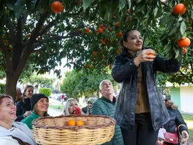 Antalya’nın turunçları Korkuteli’nden sofralara uzanıyor
