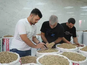 Antep fıstığına ithalat izni çıkıcınca fiyatlar ve satışlar düştü
