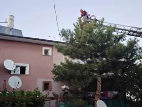 Apartman çatısında mahsur kalan kedi itfaiye ekiplerince kurtarıldı
