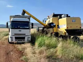 Araban Ovası’nda arpa hasadı yapılmaya başlandı
