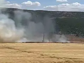 Araban Ovası’nda hasada hazır 93 dönüm buğday kül oldu
