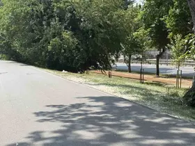 Aracında silahla vurulmuş halde ölü bulundu

