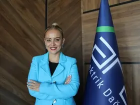 Aras EDAŞ CFO’su Arzu Miroğlu’na uluslararası ödül
