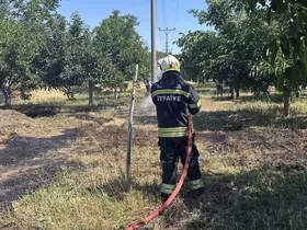 Arazi yangınları büyümeden söndürüldü
