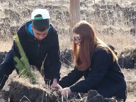 Ardahan’da Milli Ağaçlandırma Günü’nde fidanlar toprakla buluştu
