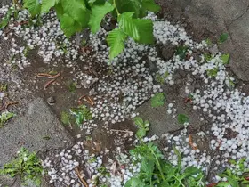 Ardahan’da sağanak ve dolu yağışı tarım arazilerine zarar verdi
