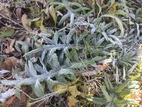Ardahan’ın Göle ilçesi Türkiye’nin en soğuk yerleşim yeri oldu
