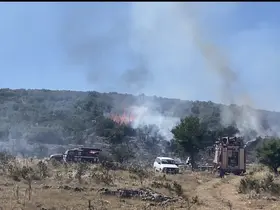 Arıcının tütsüsü ormanı yaktı
