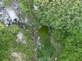 Arnavutköy’de dereden akan yeşil su mahalleliyi tedirgin etti
