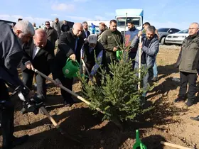 Arnavutköy’de Gazze için 10 bin fidan dikildi
