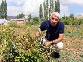 Aronya ile ilçeyi kalkındıracaklar

