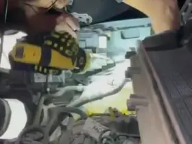 Arsuz’da aracın motoruna sıkışan kedi kurtarıldı
