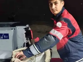 Arsuz’da kayalıklarda yorgun düşen leylek kurtarıldı
