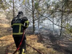 Artan sıcaklıklarda yangınlara karşı hayati uyarı: Yüzde 90’dan fazlası insan kaynaklı
