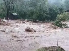 Artvin’de sağanak yağış sele neden oldu
