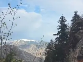 Artvin’de yaylada düşerek yaralanan vatandaş helikopterle kurtarıldı
