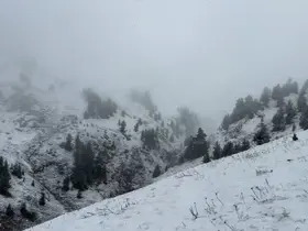 Artvin’de yaylalar kar altında

