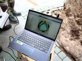 Asırlık ağaçlar tomografiyle incelenecek

