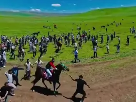 Asırlık at yarışında tepki toplayan anlar
