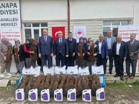 Aslanapa’da 13 kadın çiftçiye yüzde 75 hibeli 7 bin adet ahududu fidanı dağıtıldı
