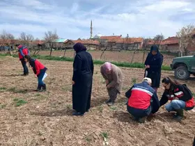 Aslanapa’da çiftçilere yönelik eğitim ve saha çalışmaları gerçekleştirildi

