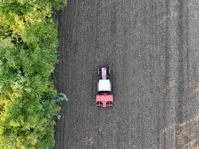 Ata tohumu siyez buğdayı Düzce topraklarında yetişecek
