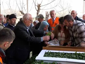 Atakumlu çiftçiye 100 bin sebze fidesi
