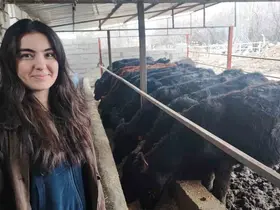 Atama beklerken hayvancılığa başladı
