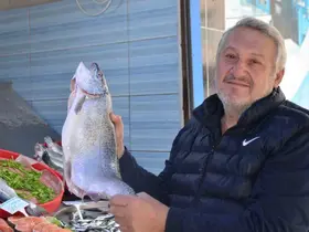 Av sezonu bitse de tezgahlar balıksız kalmıyor
