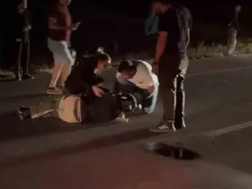 Avrupa turuna çıkan Fransız turist, koyunlara çarptı: 3 koyun telef oldu

