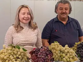 Avşar üzümü tescillendi
