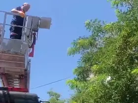 Ayağına dolanan ip kargayı mahsur bıraktı, itfaiye kurtardı
