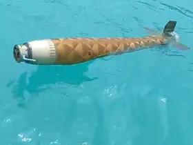 Ayancık açıklarında şüpheli cisim bulundu

