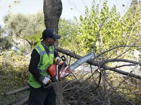 Aydın Büyükşehir Kemer Mahallesi’nde budama ve temizlik çalışması gerçekleştirdi
