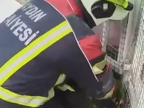 Aydın itfaiyesinden kirpi operasyonu
